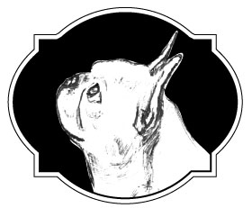 Bianca Miller Portrait