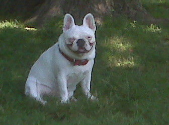 5202_116064225884_5818003_n